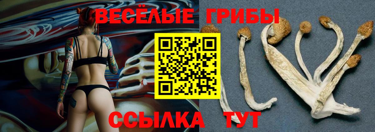 Галлюциногенные грибы Cubensis Глазов