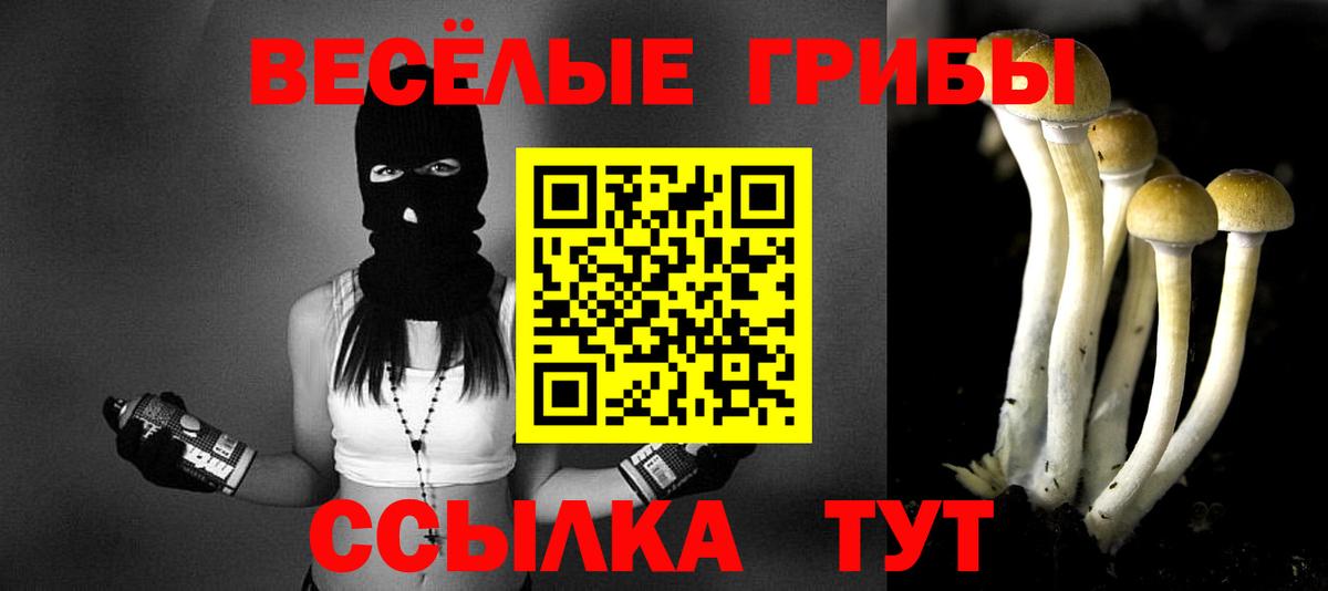 Псилоцибиновые грибы GOLDEN TEACHER  Галлюциногенные грибы Cubensis  Глазов  Вход с VPN 